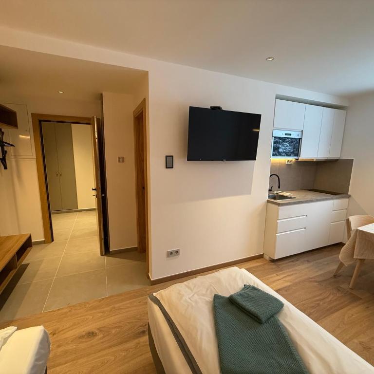 Juli Kop - Apartman sa 1 Spavaćom Sobom - 10
