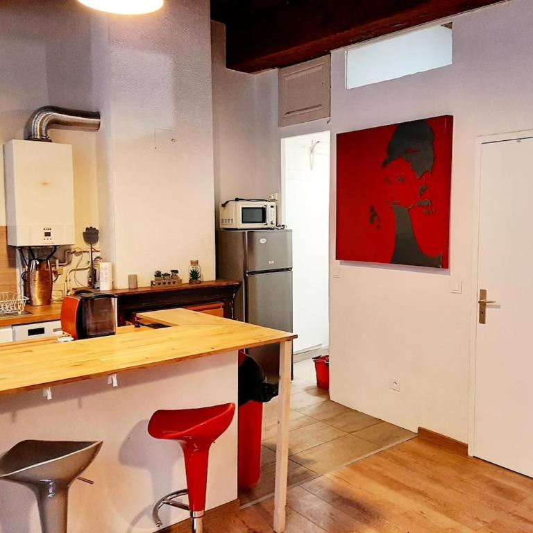 Lyon Centre Warm apartment full of charm - Apartment mit 1 Schlafzimmer - 4