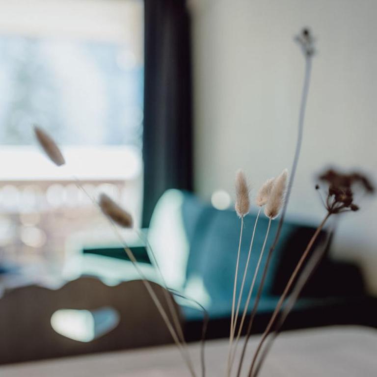 Mariengut - Natur Aparthotel Kramer - Apartment mit 2 Schlafzimmern und Sauna - 13
