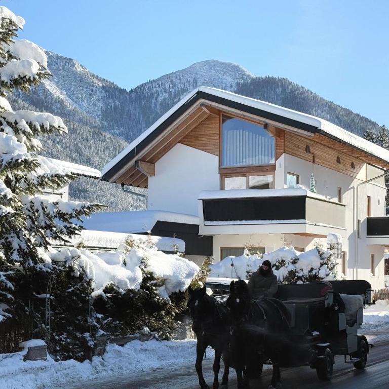 Bio Ferienwohnung am Wildsee in Seefeld mit E-Ladestation - Apartment mit Blick auf die Berge - 2