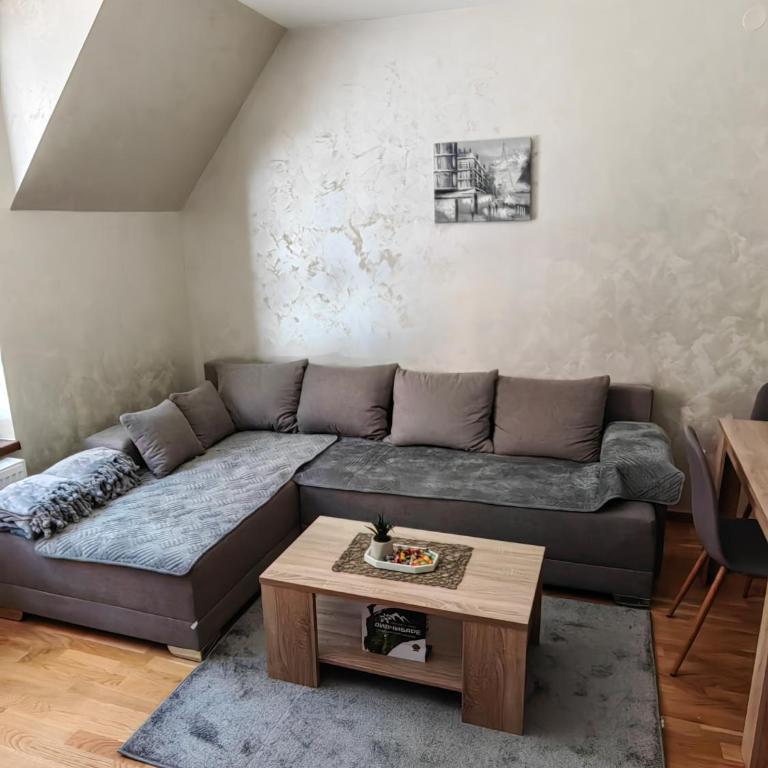 Vidra apartman - One-Bedroom Apartment - 11
