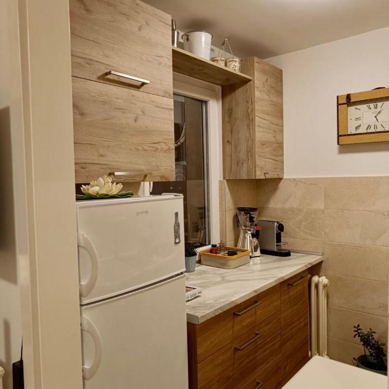 Beolight Apartment - Apartman sa 1 Spavaćom Sobom - 38