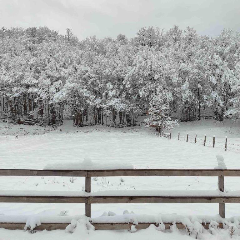 Jahorina Green Chalet - Three-Bedroom Chalet - 7