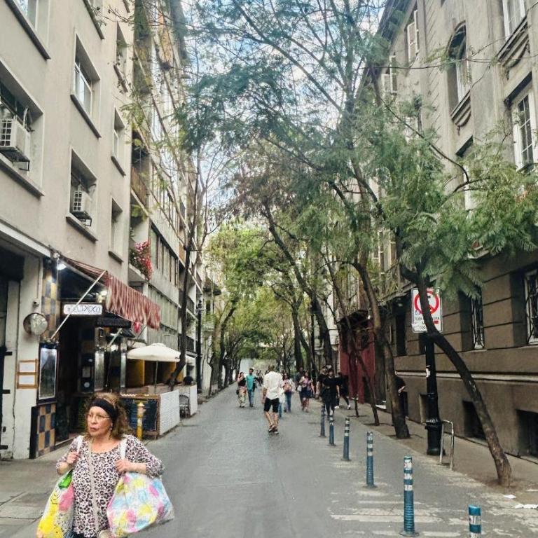 Barrio Bellas Artes - Apartamento de 1 dormitorio - 17