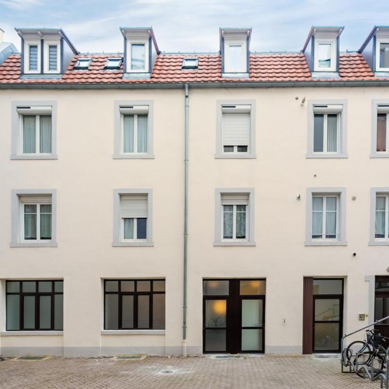 Appart confort - Hyper centre - 4 pers - Strasbnb - Appartamento con 1 Camera da Letto - 14
