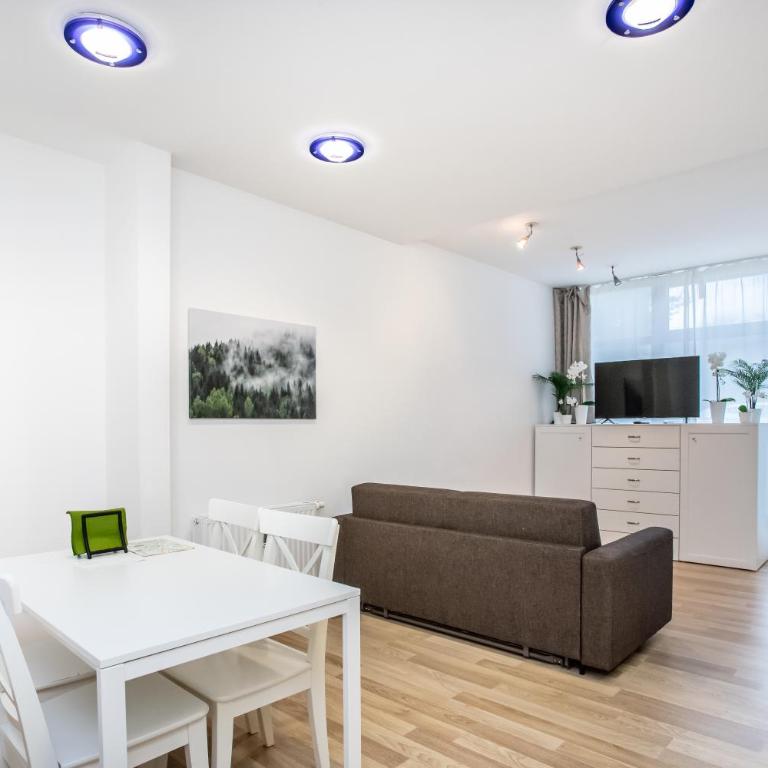 Citycenter Bad Ischl - Studio Apartments TRAUNKAi - Apartment mit Dusche - 3