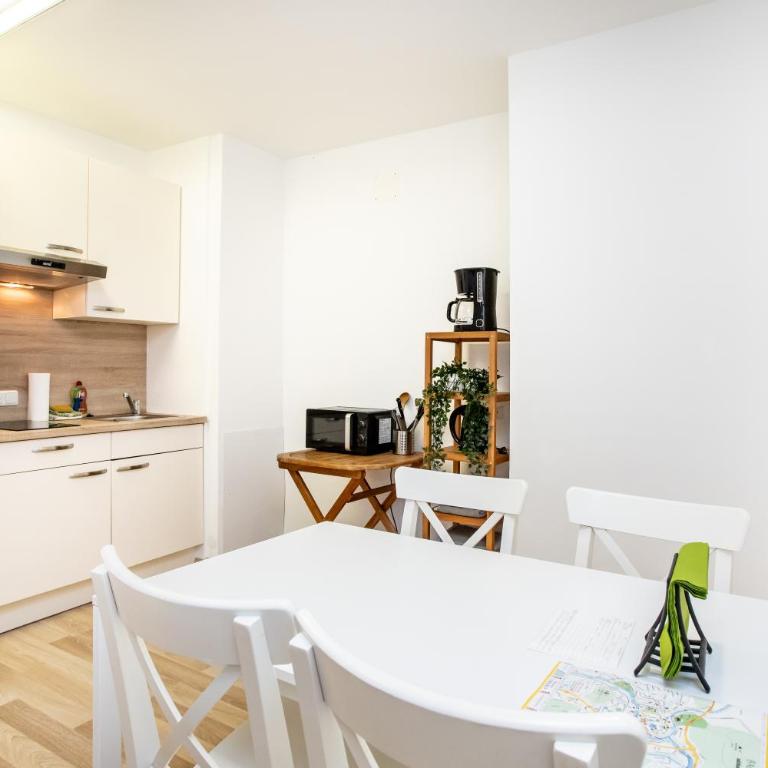 Citycenter Bad Ischl - Studio Apartments TRAUNKAi - Apartment mit Dusche - 2