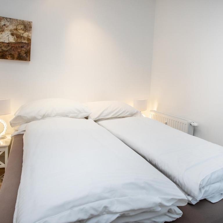 Citycenter Bad Ischl - Studio Apartments TRAUNKAi - Apartment mit Dusche - 25