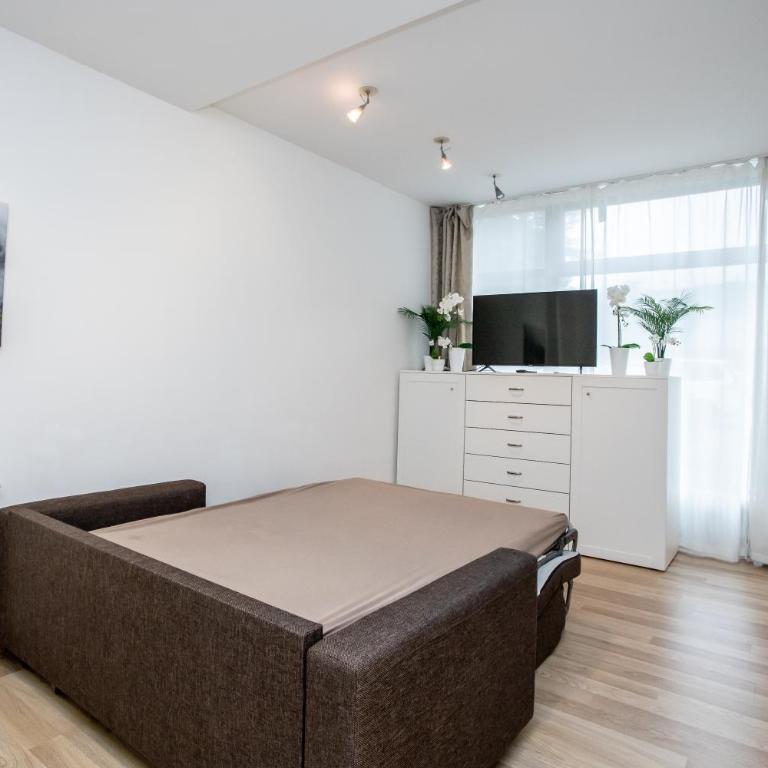 Citycenter Bad Ischl - Studio Apartments TRAUNKAi - Apartment mit Dusche - 27