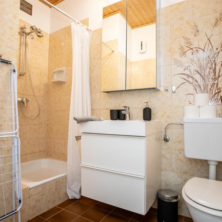 Citycenter Bad Ischl - Studio Apartments TRAUNKAi - Apartment mit Dusche - 28