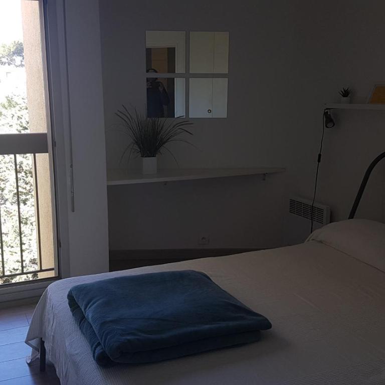 Grand T2, 4 personnes, Clim, Parking, Proche centre - Apartamento de 2 dormitorios - 13