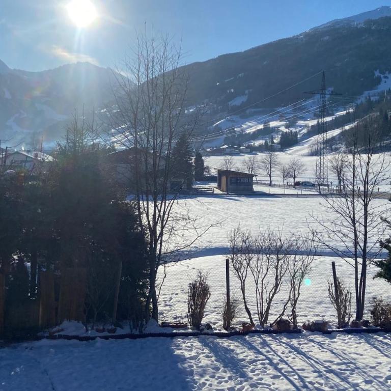 Appartement Zaglmayr - Appartamento con 1 Camera da Letto - 13