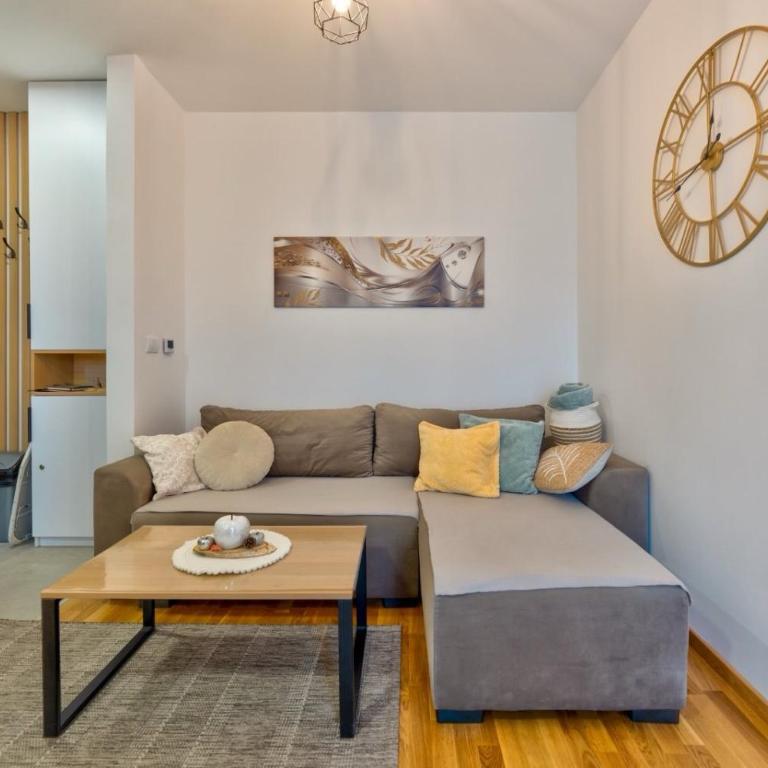 Vila Zlatibor & spa 27 - Apartman sa 1 Spavaćom Sobom - 16