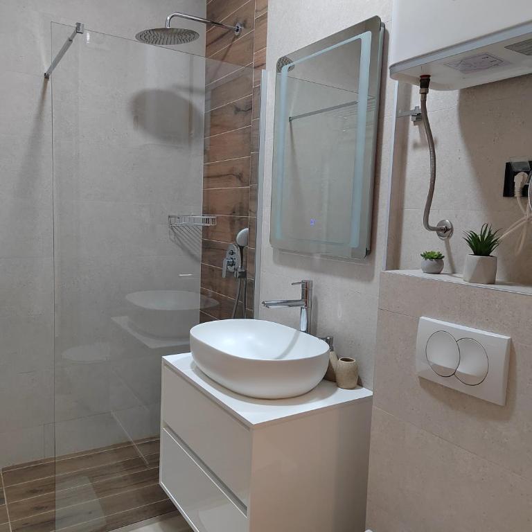 Apartmani Dvosjed - Apartman sa 1 Spavaćom Sobom - 9