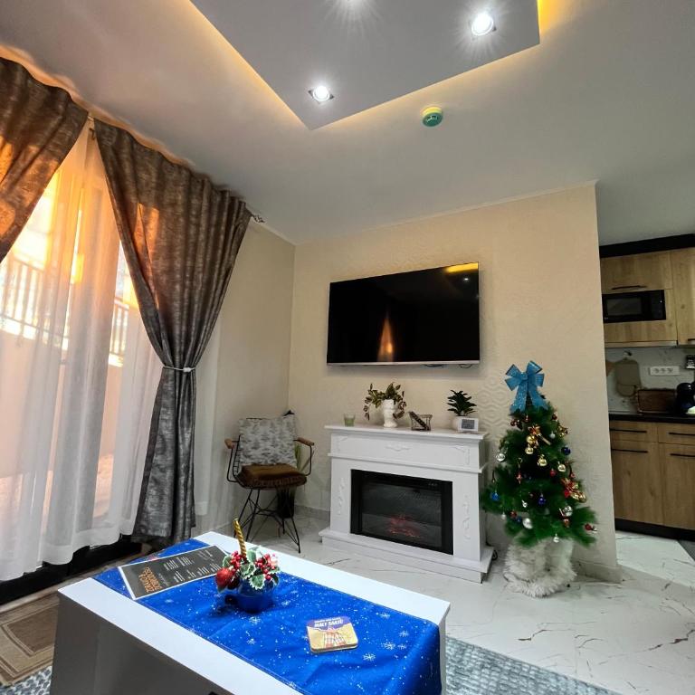 Apartman Zimska idila - Apartman sa 1 Spavaćom Sobom - 12