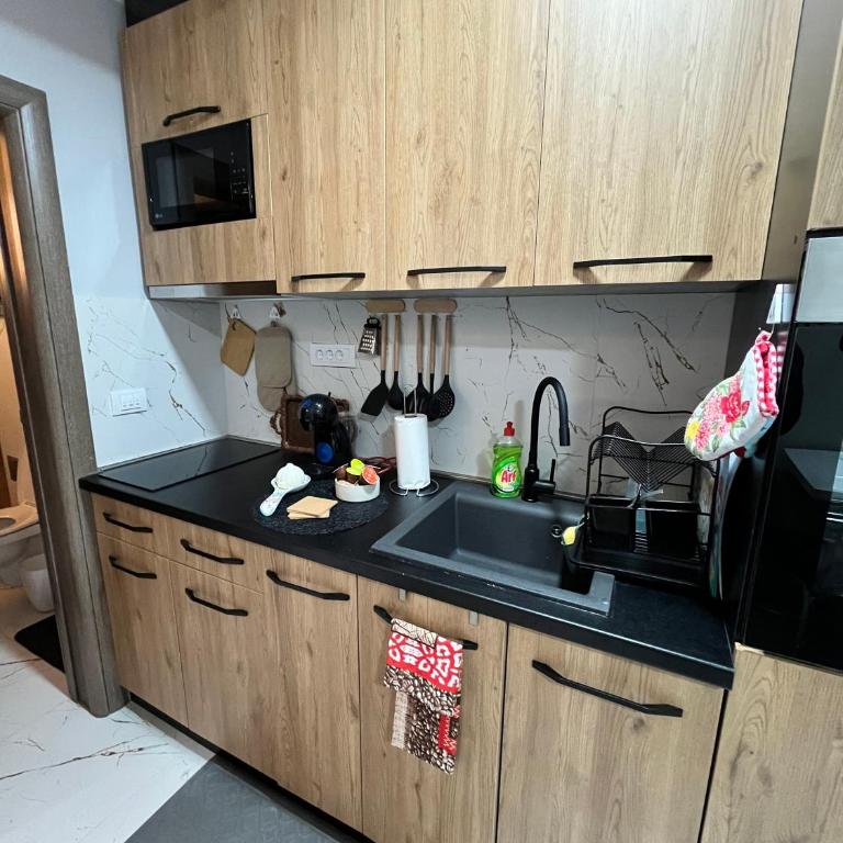 Apartman Zimska idila - Apartman sa 1 Spavaćom Sobom - 16