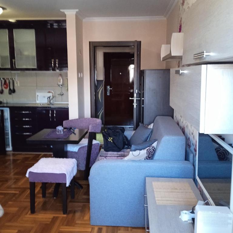 apartman Studenička - Apartman sa 1 Spavaćom Sobom - 10