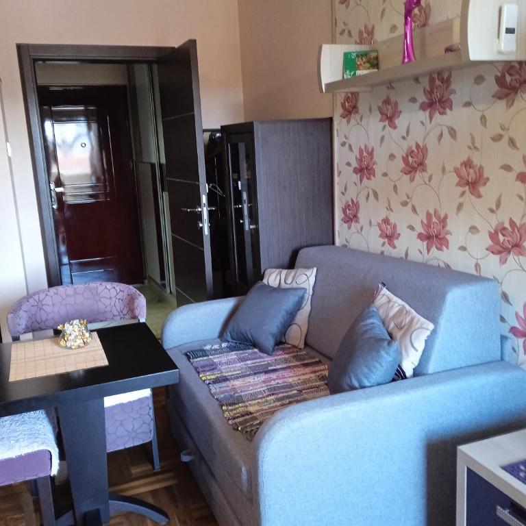 apartman Studenička - Apartman sa 1 Spavaćom Sobom - 18