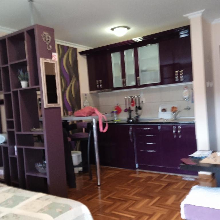 apartman Studenička - Apartman sa 1 Spavaćom Sobom - 22