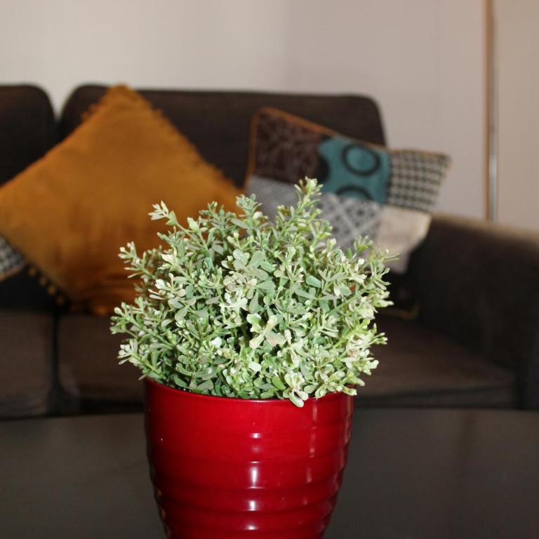 Charmant T2 au pied de la Cité - Appartement 1 Chambre - 17