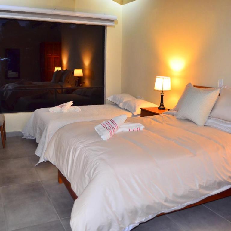 Monteverde Best Inn - HOTEL - Suite Doble Estándar - 7