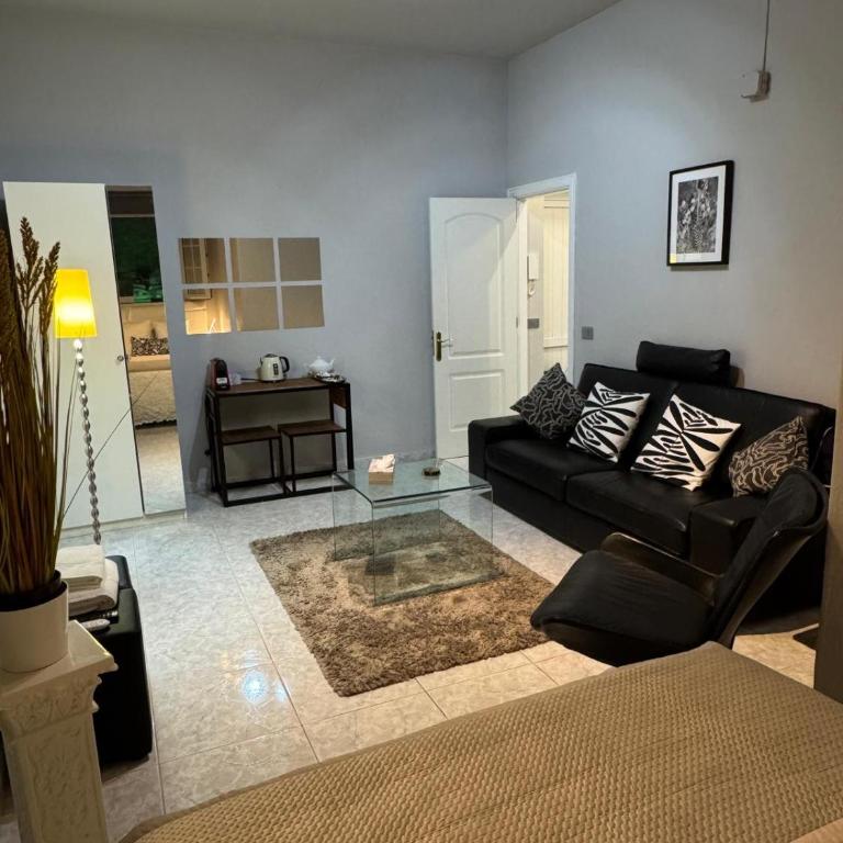 Basement Apartment Studio - One-Bedroom Apartment - 1