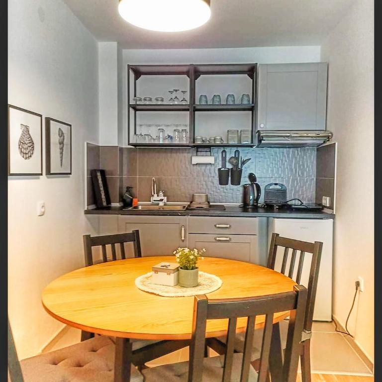 Apartman Fonte Vrnjačka Banja - Appartement 1 Chambre - 11