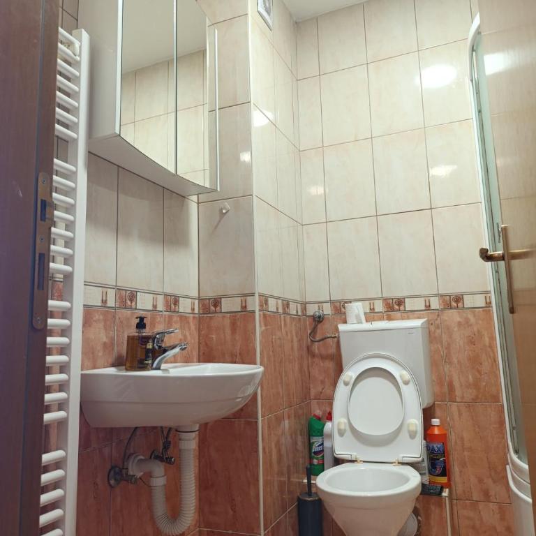 Apartman AsHome - Apartman sa 1 Spavaćom Sobom - 2