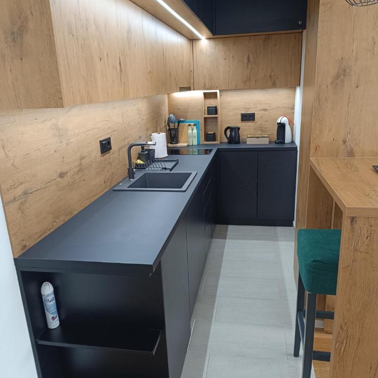 Stan na dan Nina Plus - Pale Centar - One-Bedroom Apartment - 1