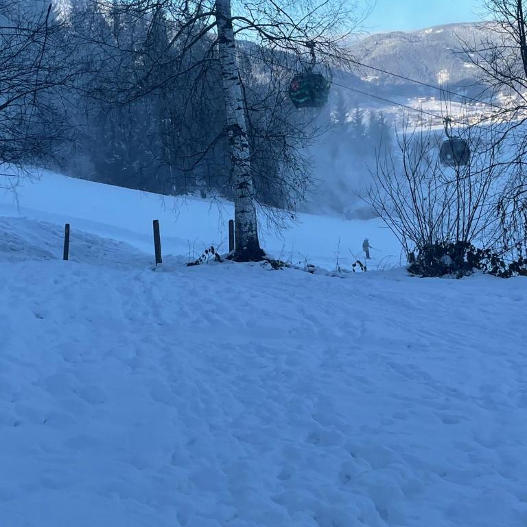Ferienhaus Oberberg - Monolocale - 23
