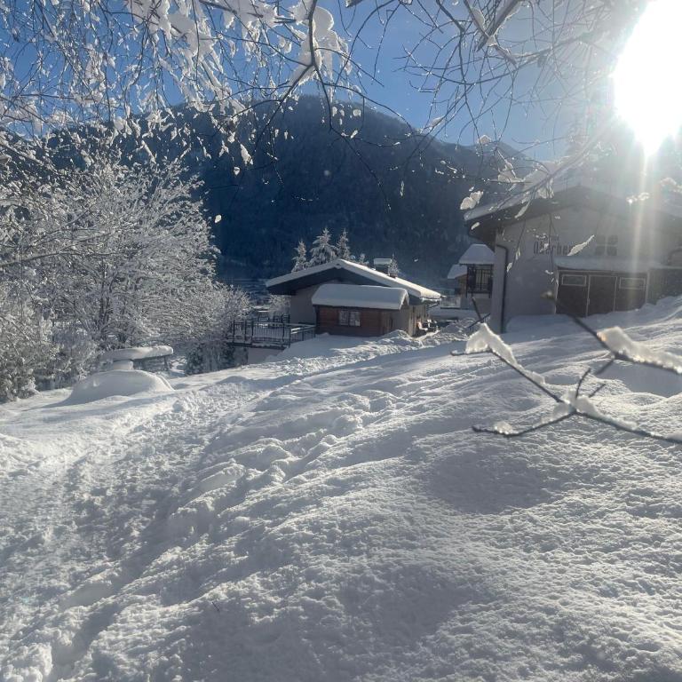 Ferienhaus Oberberg - Monolocale - 29