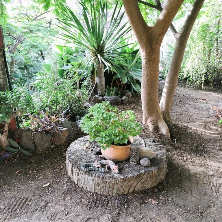 Casa Gomeron - Villa de 3 dormitorios - 30