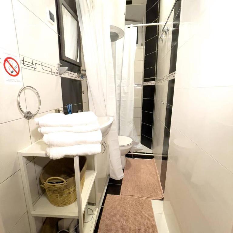 Art Apartment near Skadarliјa - Apartman sa 2 Spavaće Sobe - 13