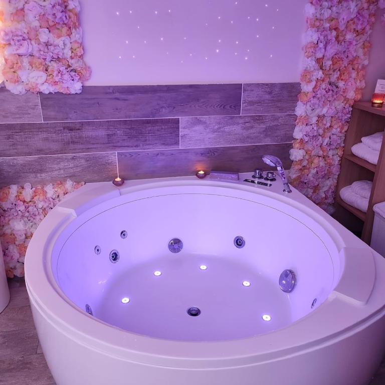 Cocon des Merveilles - balnéo ronde avec cascade - One-Bedroom Apartment - 11