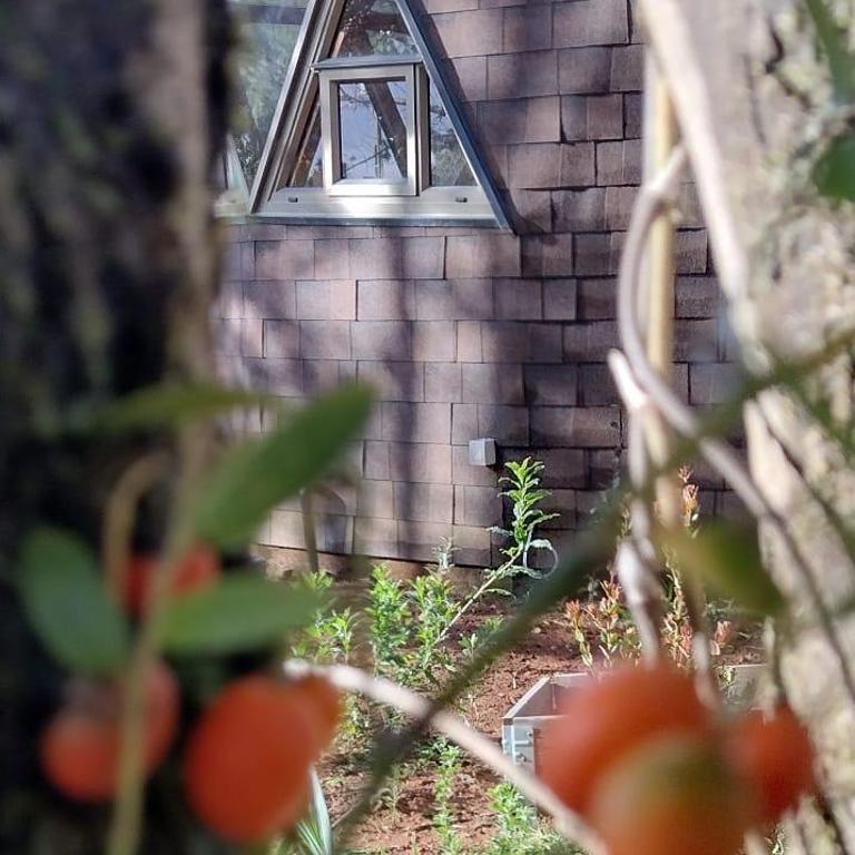 Domos Entre Luna y Bosque - One-Bedroom Apartment - 13