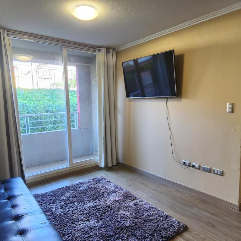 Departamento temuco - One-Bedroom Apartment - 4