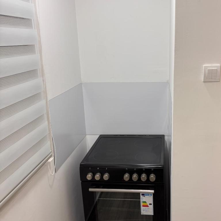 Aktiva Apartments - Apartman sa 1 Spavaćom Sobom - 11