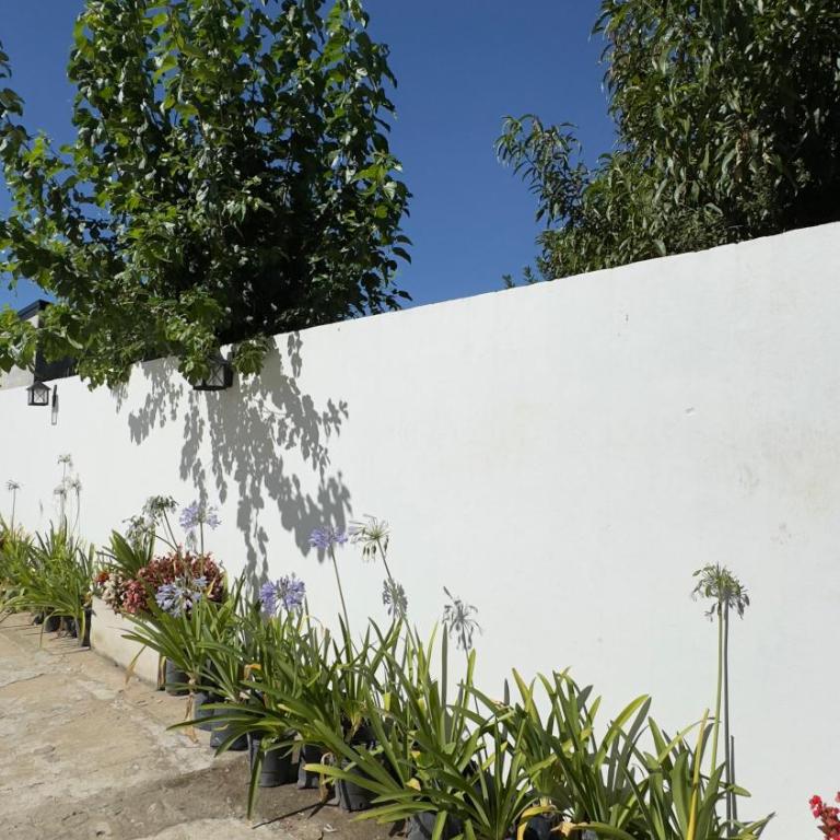 La Regalona - Apartamento de 2 dormitorios - 21
