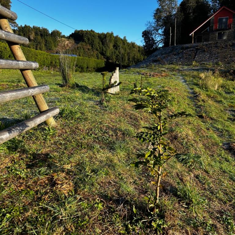 Cabaña del Llicanko - Two-Bedroom Chalet - 26