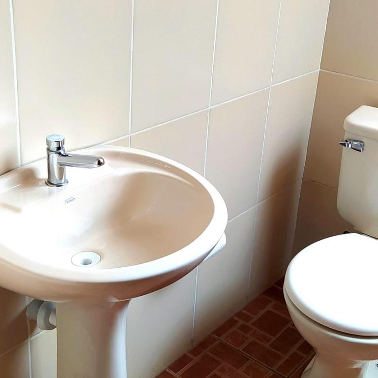 Departamento amoblado en pleno Centro - Apartamento Estándar de 3 dormitorios - 9