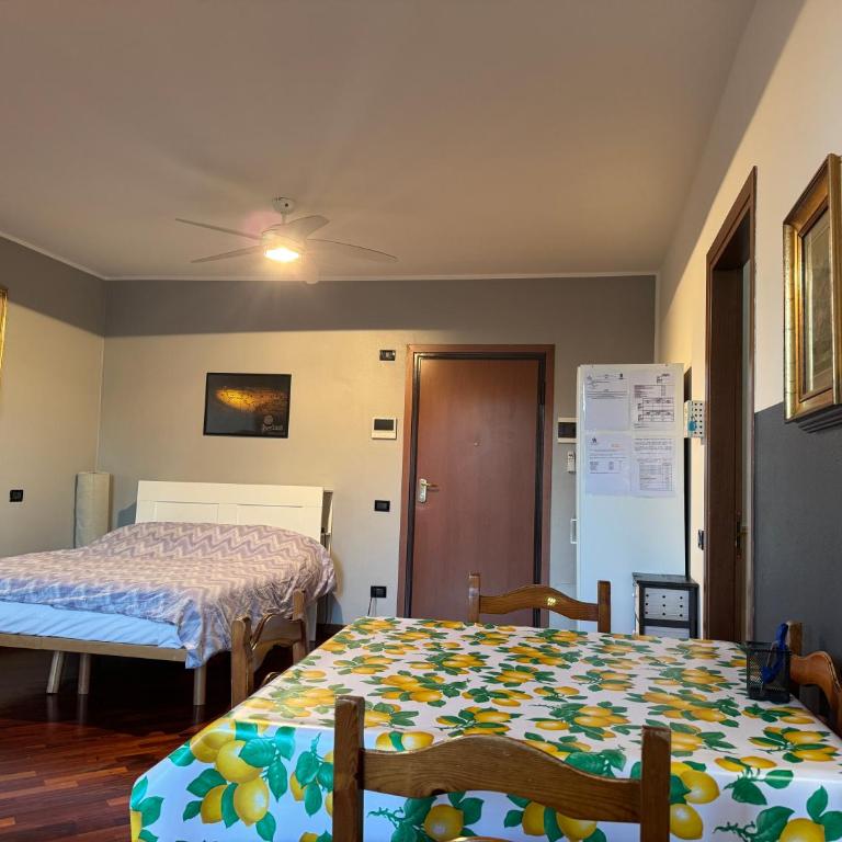 Ampio monolocale - Appartamento Monolocale - 16
