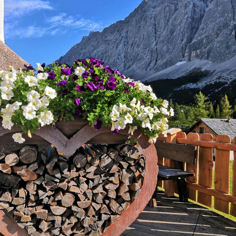 Ferienhaus Berger mit eigenen Whirlpool im Garten - Ferienhaus - 14