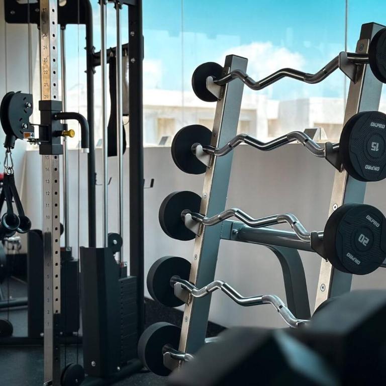 King Suite with Private Balcony, Gym, Rooftop Pool - Apartamento - 24