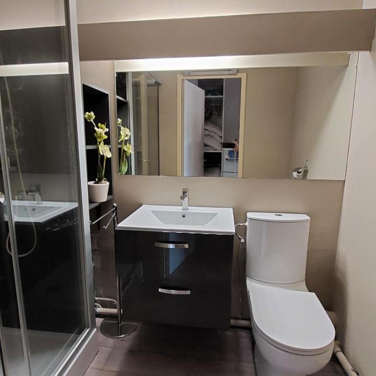 T2, jardin, véranda chambre, climatisation, parking privatif, proche à pied centre, plage, gare, pour 3 adultes ou 2 adultes avec 2 enfants - Apartamento de 1 dormitorio - 5