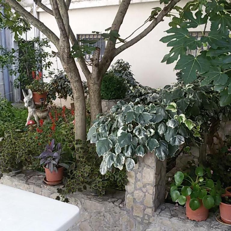Guest House Mirza - Double or Twin Room with Shared Bathroom - 22