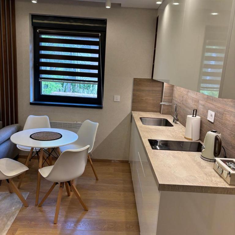 Apartman devetka Zlatibor - Apartman sa 1 Spavaćom Sobom - 8