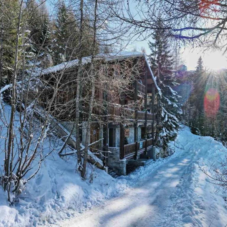 Chalet Fend l'air - Plagne 1800 - 12 personnes - skis au Pied - Chalet - 5