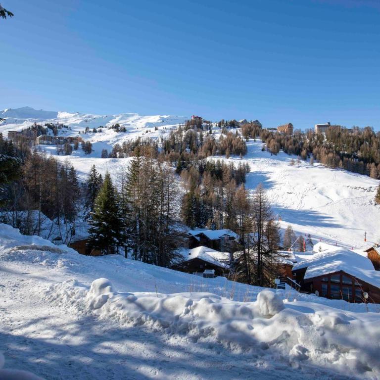 Chalet Fend l'air - Plagne 1800 - 12 personnes - skis au Pied - Chalet - 22