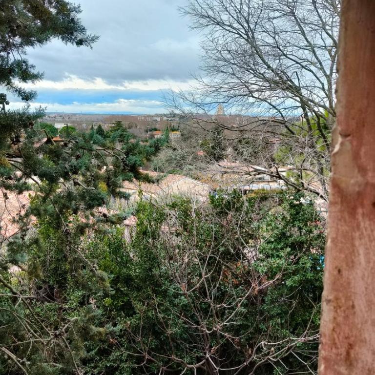 La Folie mas provençal climatisé avec piscine - Villa - 49