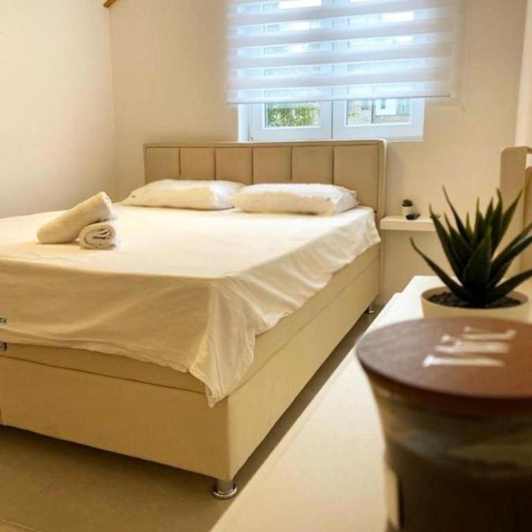 Aqua Apartman - Apartman sa 1 Spavaćom Sobom - 1
